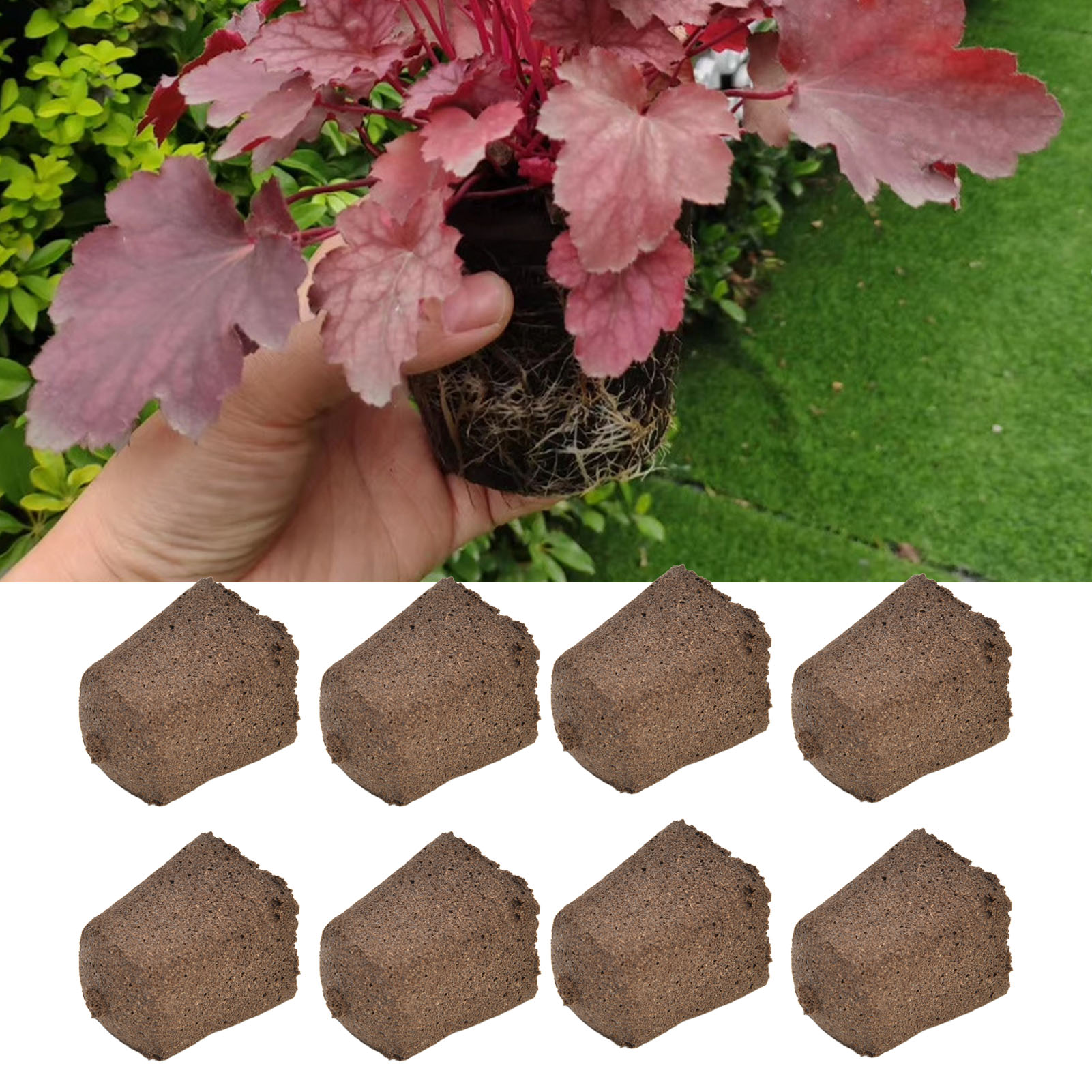 50 Einheiten/verkauf Von Hydroponischen Stecklings- Und Sämlingsblöcken Für Blumen, Gemüse, Obst Und Melonen, 303040 Mm.