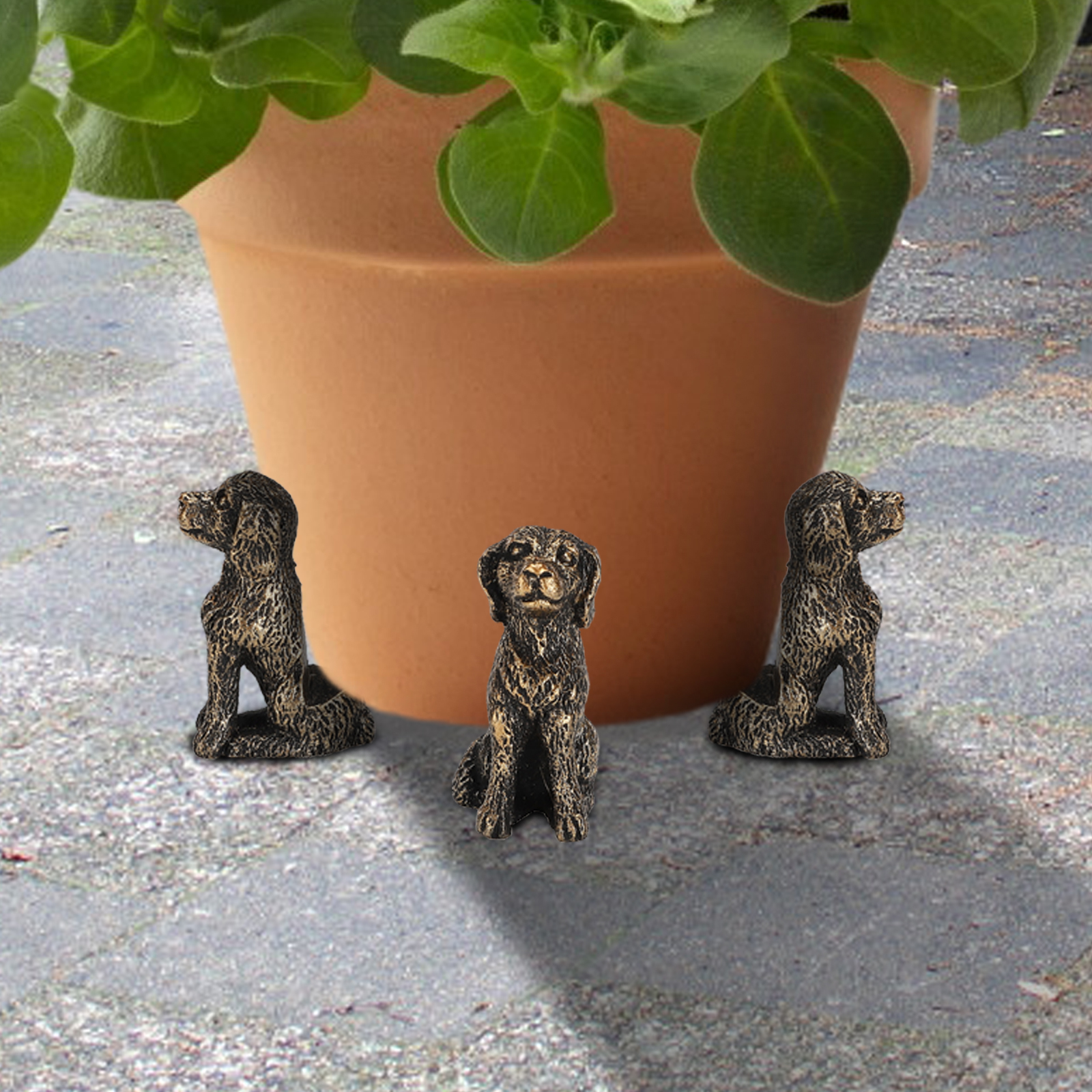 Schildkrötenförmige Füße Für Blumentöpfe Sorgen Für Optimale Belüftung Und Verhindern Wurzelfäule Sie Erhöhen Den Blumentopf Für Die Gartenarbeit Im Hausgarten.