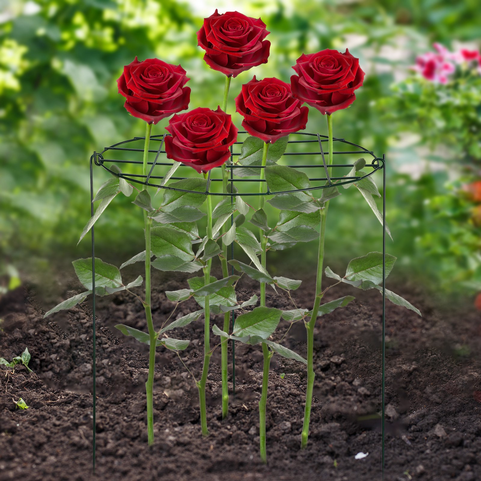 Rankgitter Aus Schmiedeeisen Für Erdbeeren – Gitterdurchmesser 35 Cm, Höhe 45 Cm