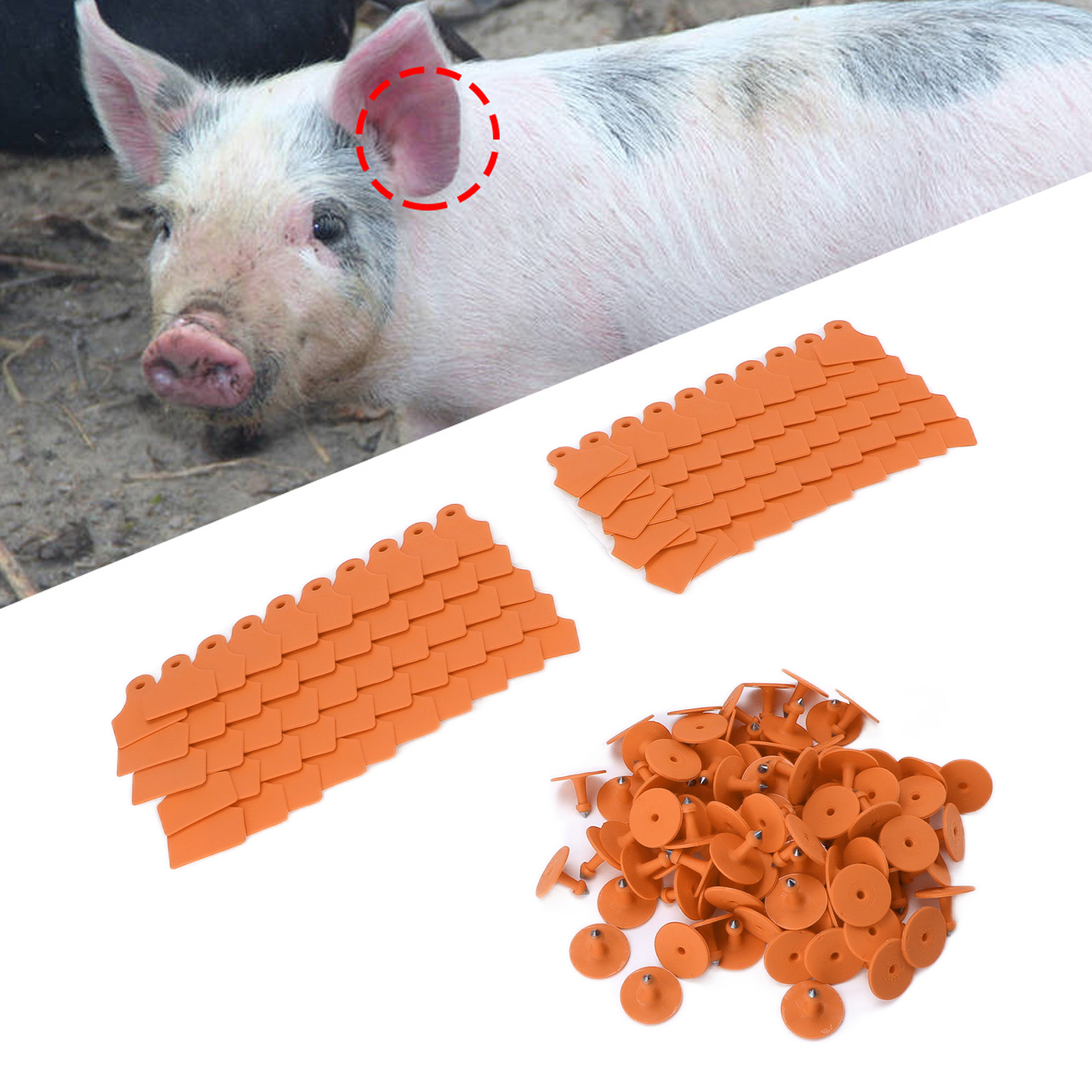 100 Lose/verkauf Von Speziellen Ohrmarken Für Nutztiere, Leere Anti-fall-ohrmarken Für Sauen Und Schweine, Orange Farbe.