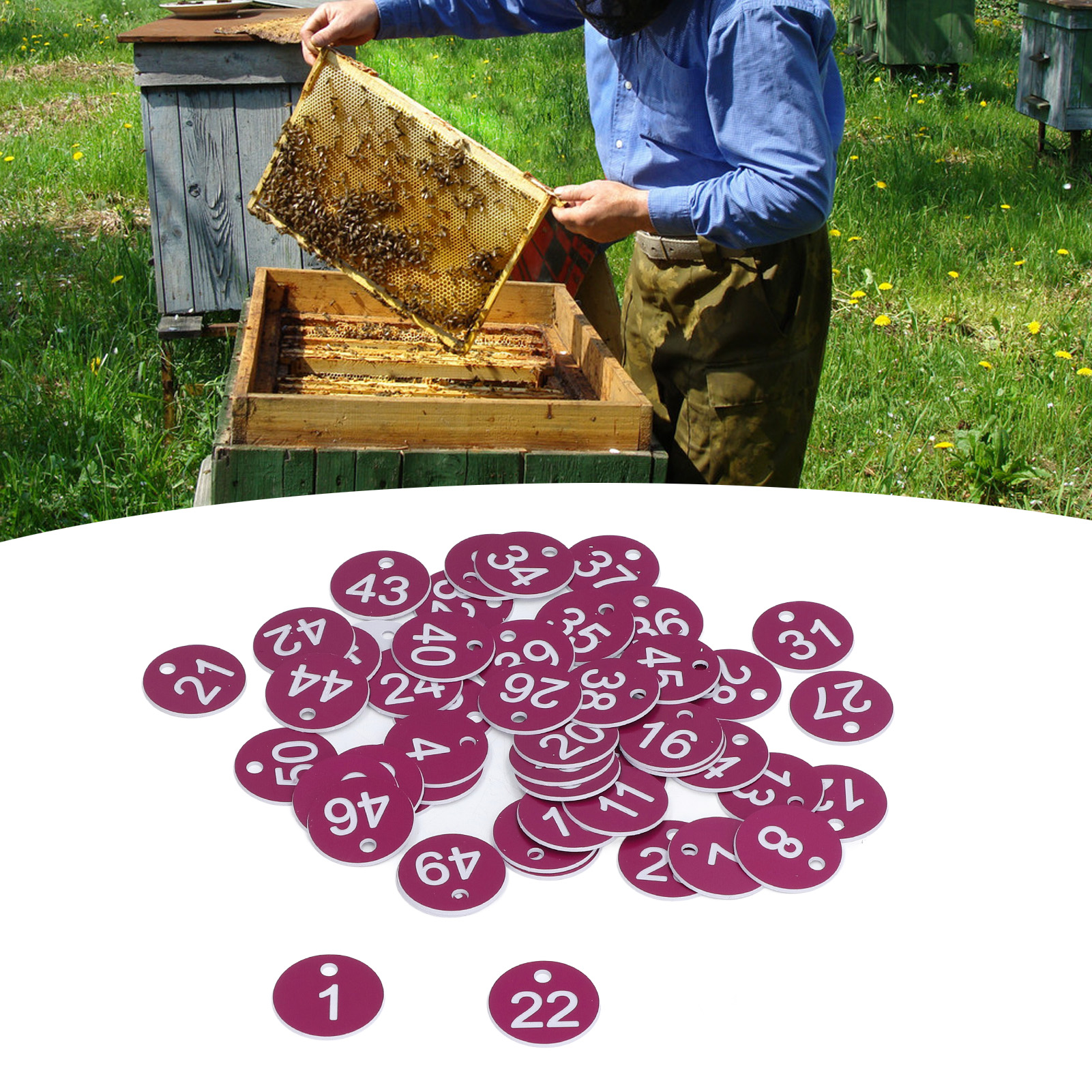 50 Stück/verkauf Von Kennzeichnungsetiketten Für Imkerei Und Viehzucht, Nummerierte Etiketten, Perforierte Etiketten, Nummerierte Etiketten, Bienenstockmarkierungen, Viehbedarf, Nummern 1-50, Lila.