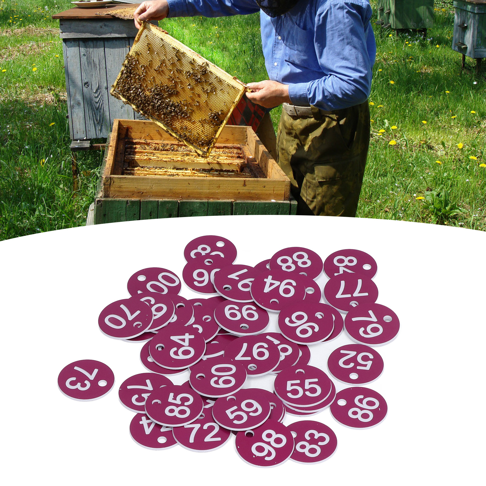 50 Stück/verkauf Von Kennzeichnungsetiketten Für Imkerei Und Viehzucht, Nummerierte Etiketten, Perforierte Nummern, Bienenstockmarkierungen, Viehbedarf, Nummern 51-100, Lila.