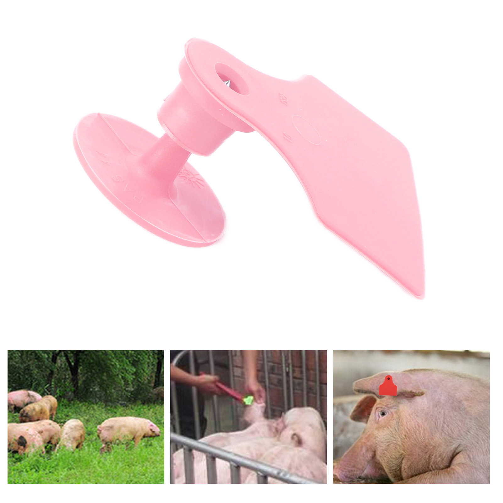 100 Lose/verkauf Von Schweinespezifischen Ohrmarken, Unbedruckten Anti-fall-ohrmarken, Ohrmarken Für Sauen, Unbedruckten Ohrmarken Für Schweine, Rosa.