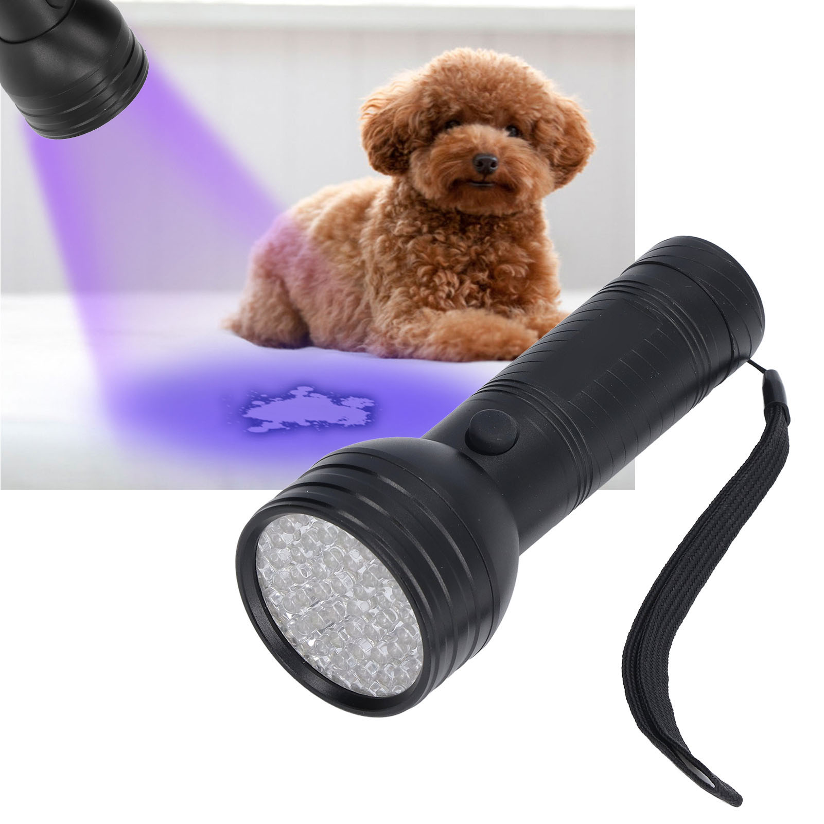 Uv-taschenlampe Mit 51 Leds Zur Skorpionerkennung. Diese Uv-taschenlampe Eignet Sich Ideal Zum Aufspüren Von Fälschungsschutzcodes, Tierurin, Fluoreszierenden Substanzen, Zum Vertreiben Von Skorpionen