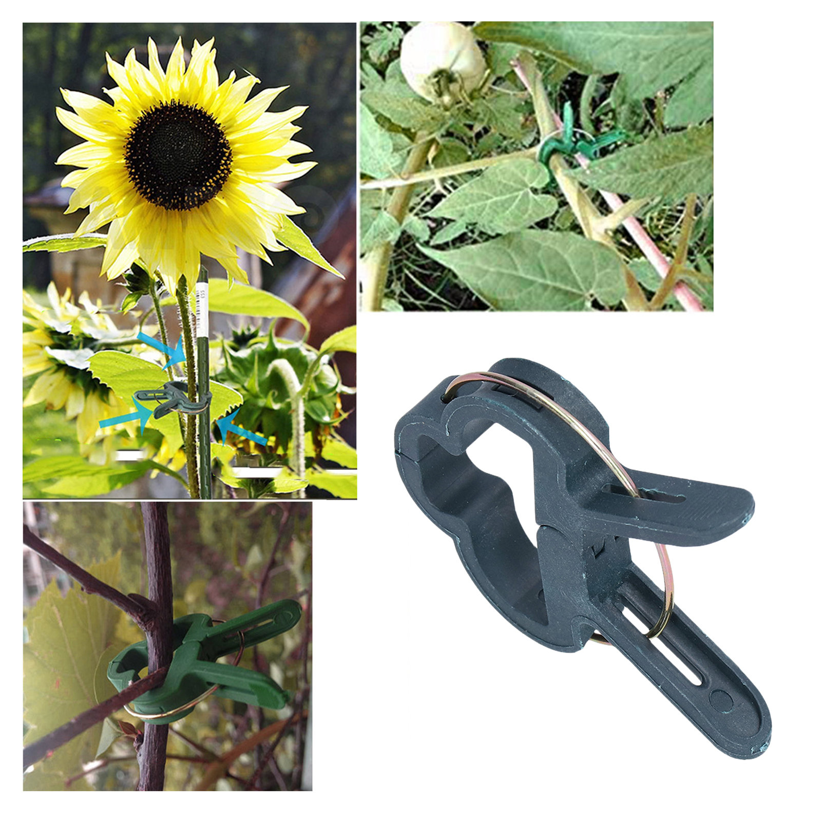 100 Stück/verkauf Von Veredelungswerkzeugen, Pflanzenklammern, Gartenklammern Und Kleinen Gartenartikeln