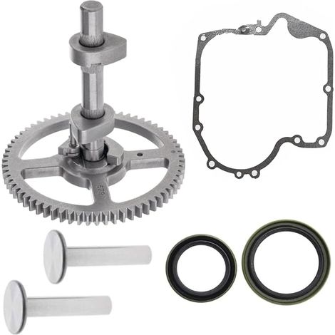 Kompatibel Mit Nockenwelle 793880 Für Briggs & Stratton 793583 792681 791942 795102 Nockenwellensatz Mit Dichtung 697110, Öldichtung 795387