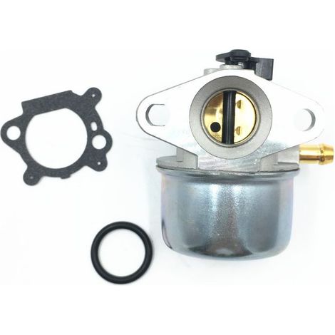 Carburateur Avec Joint – Compatible Briggs & Stratton 799868 498254 497347 497314 498170 694202 – Pour Tondeuse, Générateur