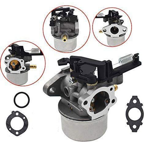 Ersatzvergaser Für Briggs & Stratton 111p02 111p07 114p02