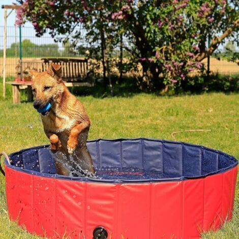 Faltbare Hundepool, Aus Kratzfestem Pvc, 80 Cm Durchmesser, 20 Cm Höhe, Rutschfeste Beschichtung Und Ablassstopfen, Ohne Pumpe, Robuste Pool Für Kinder, Blau/rot.