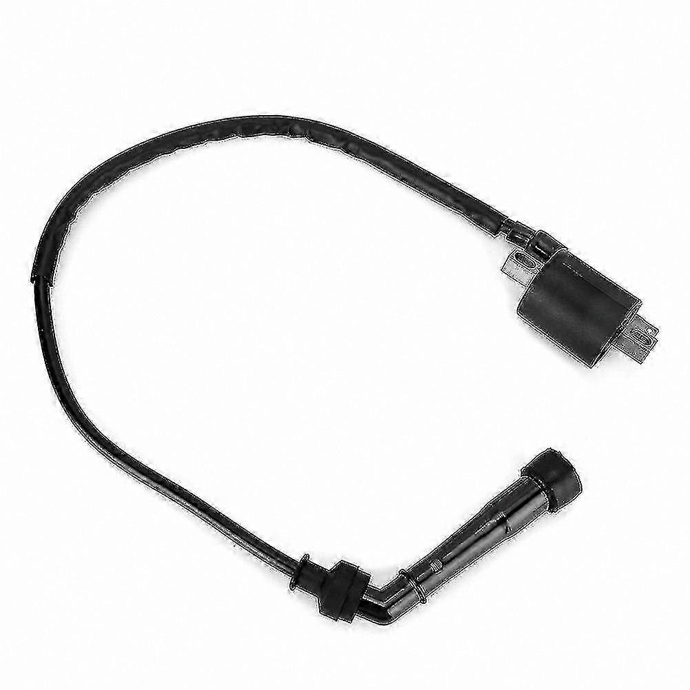 Zündspule Für Motorradmotoren Der Baujahre 2004–2007 – Kompatibel Mit Rhino 660 Gx20241206142