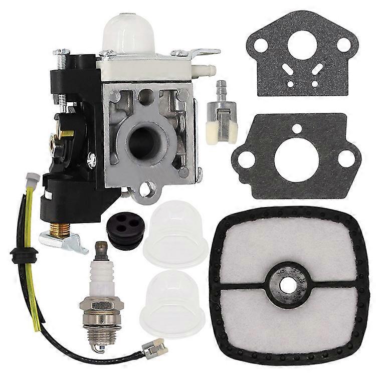 Kompatibel Mit Pb250ln Es 250 Pb250 A021003660 Rb-k106 Vergasern. Kostenloser Versand.