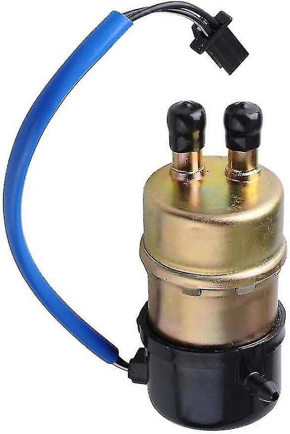 Kraftstoffpumpe 5/16" 8 Mm 12 V 60 L/h, Filter Kompatibel Mit Yamaha Virago 535 Xv535 (1987-2003, 1999, 2 Stück)