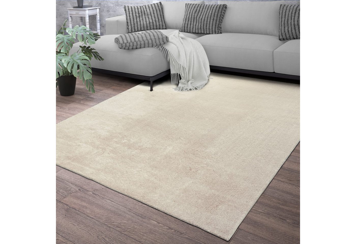 Wohnzimmer Kurzflor Einfarbig Modernes Design Waschbar 60 Cm X 100 Cm X 14 Mm Creme Läufer Bild 5