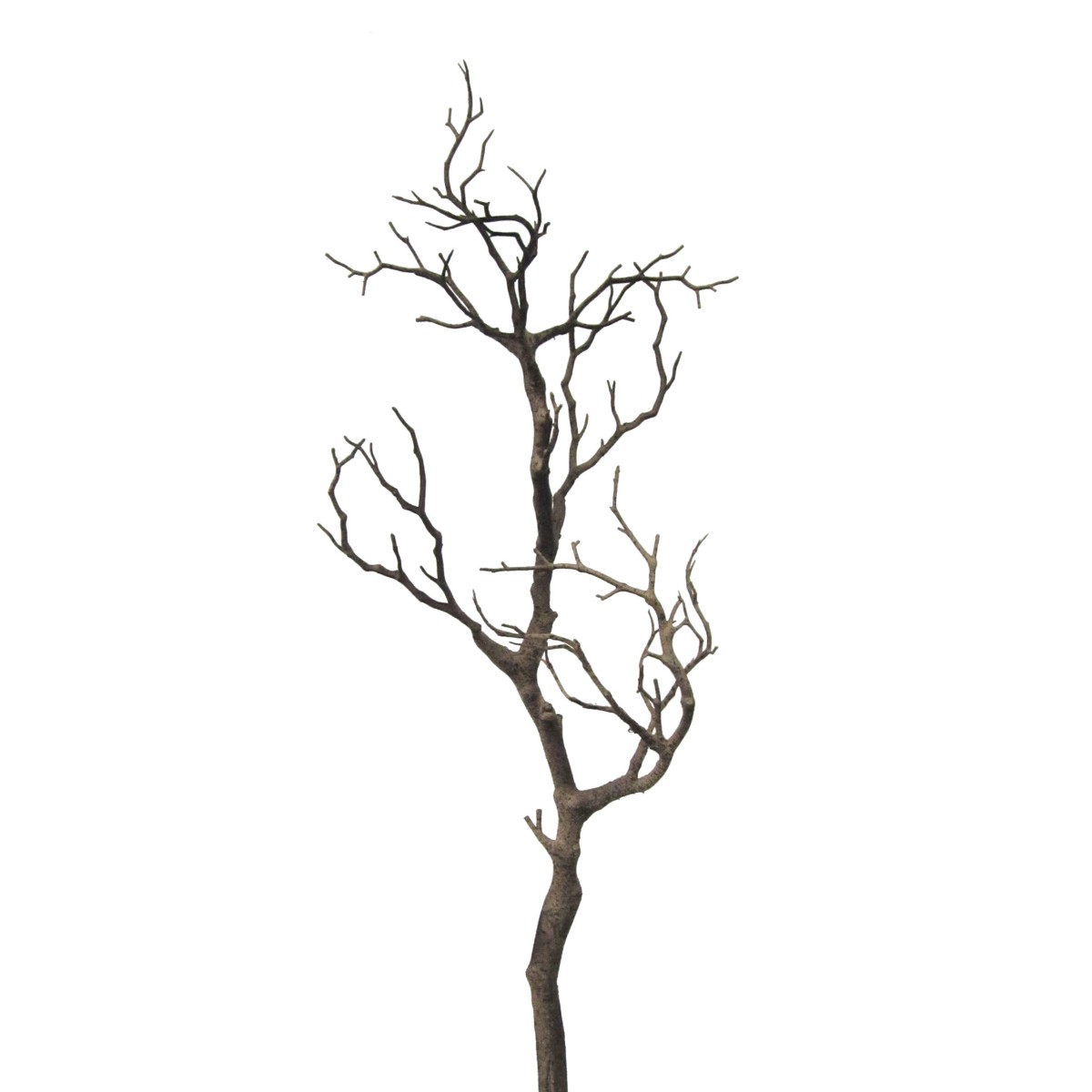 Gasper Dekoast 68 Cm Natur - Kunstzweig