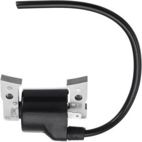 Bobine D'Allumage Haute Tension Compatible Avec 21121-2069, Fc540v, Am109258