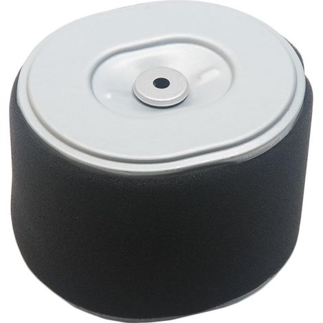 S-giant Air Fit Pour Moteur Honda Gx340 Gx390 11hp Et 13hp Aftermarket 17210-ze3 Ze3-505,17210-010 Stens:100-012,oregon:30-417,rotary:19-7712 5252697