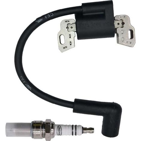 Zündspule Kompatibel Mit Briggs & Stratton – Referenzen 798534 799582 593872