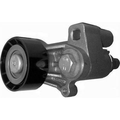 Galet Tendeur Courroie Accessoire Peugeot 206 306 406 605 806 1.9d 2.1d