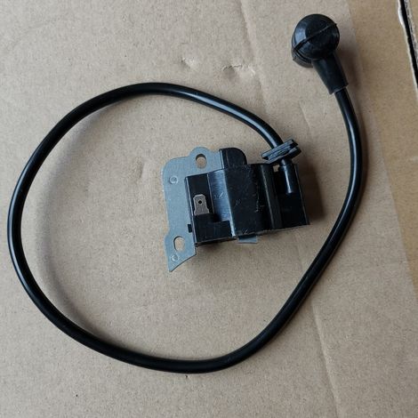 Hohe Spannung Zündspule Und Zündverteiler Kompatibel Für Echo Dmc621 Eb650.