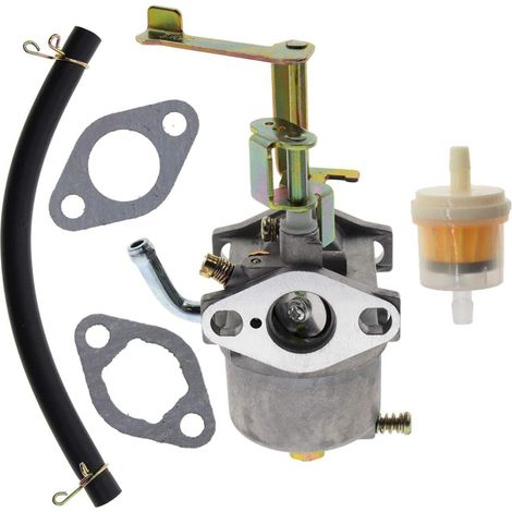 S-giant Vergaser 79cc 99cc Gen1100 Pwle0799 Pwle0799f2n Gen154 4-takt