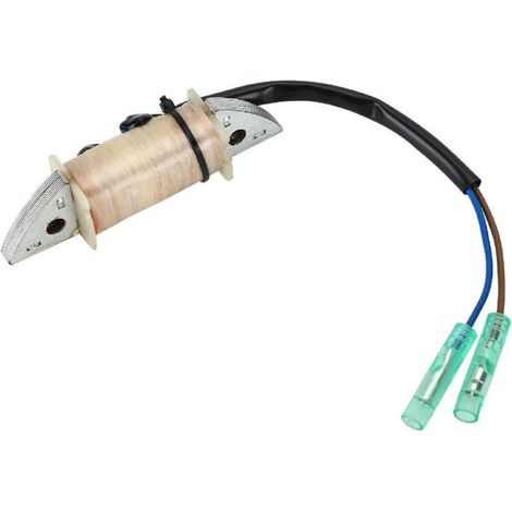 Zünd- Und Ladespule Für Yamaha 15hp Außenbordmotoren, Passend Zu Den Referenznummern 6b4-85520-00/63v-85520-00.