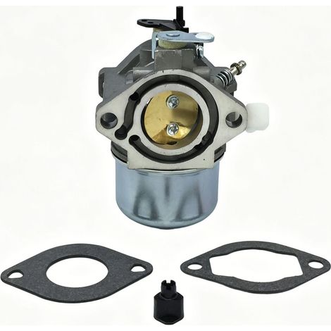 Vergaser Kompatibel Mit Briggs Stratton 283702 694941 – Art.-nr. 699831, Rasenmäher, Langlebiges Ersatzteil