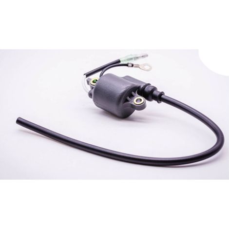 Zündspule Für Freischneider Pb-400e, Pb-410, Pb-411 - Kompatibel Mit 15662602111