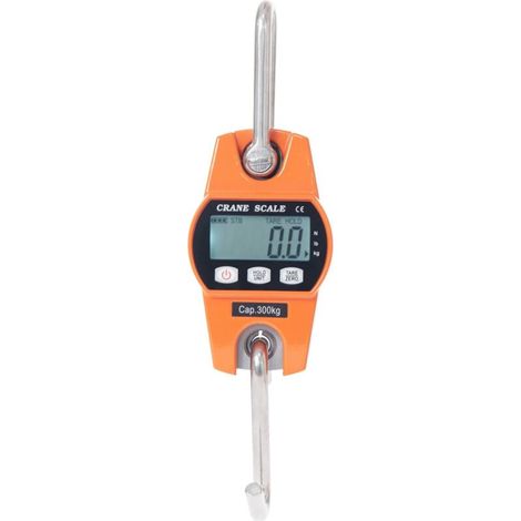 Elektronische Hängewaage 300 Kg, Lcd-dynamometer Mit Haken, Industriewage 300 Kg/600 Lbs
