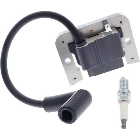 Zündspule Und Magnetarmatur Passend Für Kohler-motoren Ch18-ch23, Ch730, Cv18-cv25, Cv624-cv730, Sv710-sv730, Anlasserzubehör Für Verbrennungsmotor