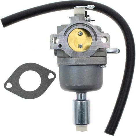 Carburateur Bai Litong Briggs & Stratton 796109 591731 594593 14.5hp-21hp