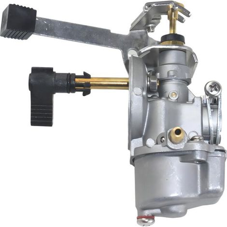 S-giant Vergaser Für Yamaha 2-takt-außenbordmotor Mit 2 Ps, Kompatibel Mit 6f8-14301-03 Und 6a1-14301-03.