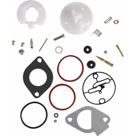 S-giant Vergaser-reparatursatz Kompatibel Mit Briggs & Stratton 796184 698787 699900 792369 790032.
