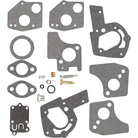Kit Für Vergaser-reparatur Passend Für Briggs & Stratton 494624 495606 130202 130293.