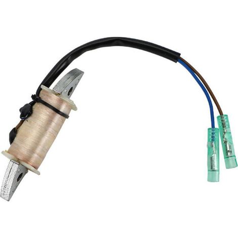 Zünd- Und Ladespule Für Yamaha Zweitakt-außenborder 15 Ps, Passend Zur Referenznummer 63v-85520-00.