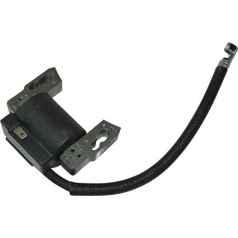 Hochspannungszündspule Und Zündverteiler Für Briggs & Stratton 797040 Kompatibel.