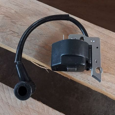 Hochspannungszündspule Und Zündmodul Für Ignition Fs38 Fs45 Fs55 Hl45 Km55 Fc55 (4140 400 1300) Kompatibel.