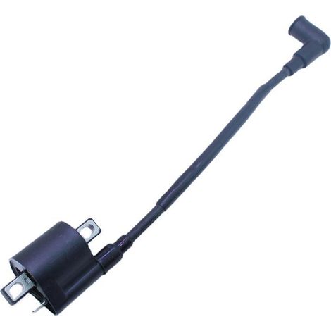 Zündspule Für 2-takt-außenbordmotor Tohatsu 4/5 Ps – Kompatibel Mit 369-06050-2