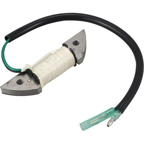 Zündspule Für Mercury Zweitakt-außenbordmotor 9,9 Ps, Passend Zu Den Referenzen 804988 Und 804988t.