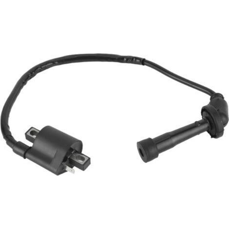Zündspule Für Grizzly 660 Yfm660 2002 2003 2004 2005 2006 2007 2008 Atv-teile