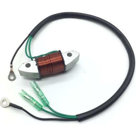 Beleuchtungsspule Für Yamaha Zweitakt-außenborder 40hp E40x, Passend Zu Den Referenznummern 66t85533 Und 66t-85533-00.
