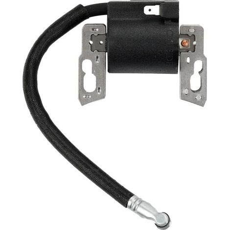 Zündspule Magnet – Kompatibel Mit Briggs & Stratton 495859 491312 490586 492341 – Ersatz
