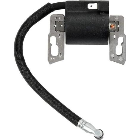 Ersetzen Sie Die Zündspule Für Briggs & Stratton Magneto Armature 495859 491312 490586 492341 Neu