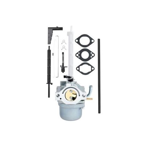 Vergaser-kit Kompatibel Mit 796122 794593 696737 793161, Vollständiges Set Einschließlich Der Teile 20m107 20m414 Und 20a113.