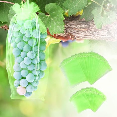 Lot 60 Schutzsäcke – 20x30 Cm + 17x23 Cm – Gemischt – Organza – Gegen Wespen / Vögel – Grüne Frucht