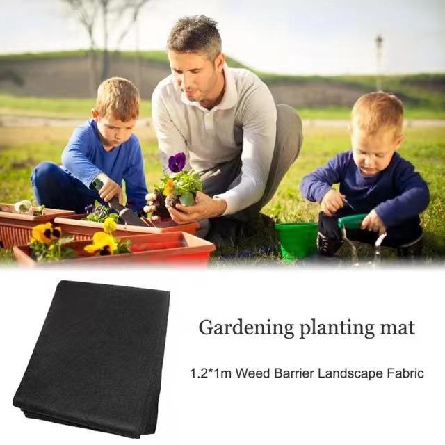 Automatisches Pflanzenbewässerungssystem, Kapillarmatte Für Blumentöpfe, Keimmatte Aus Wolle, Feuchtigkeitsschicht, Gartenwerkzeug
