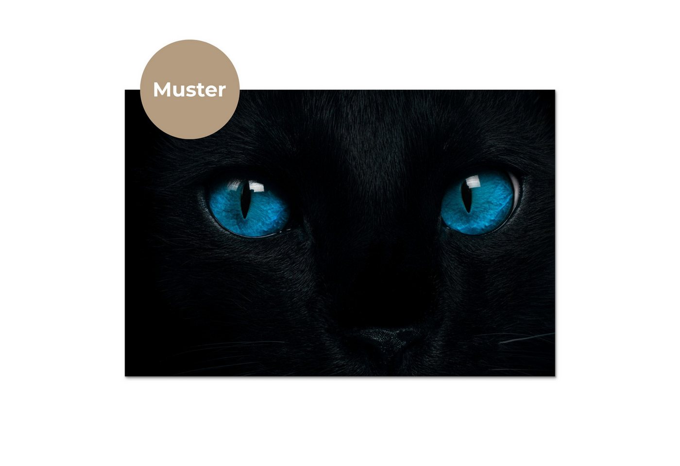 KitchenYeah Küchenrückwand Muster selbstklebend (keine Folie) Katze - Blau - Tier - Schwarz, (1-tlg), Spritzschutz, Küche, Rückwand, Küchenwand, Küchenfront, 30x20 cm Bild 4