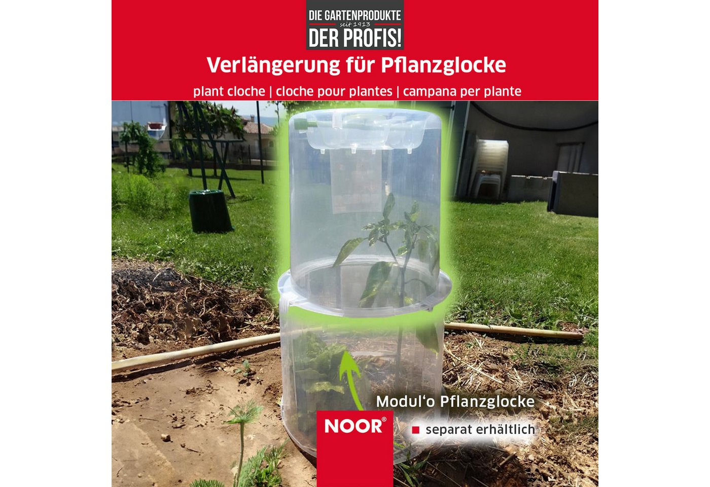 NOOR Frühbeet Pflanzglocke MODUL´O - verlängerbar, mit Lüftungsgitter für ideales Mikroklima für Ihre Pflanzen