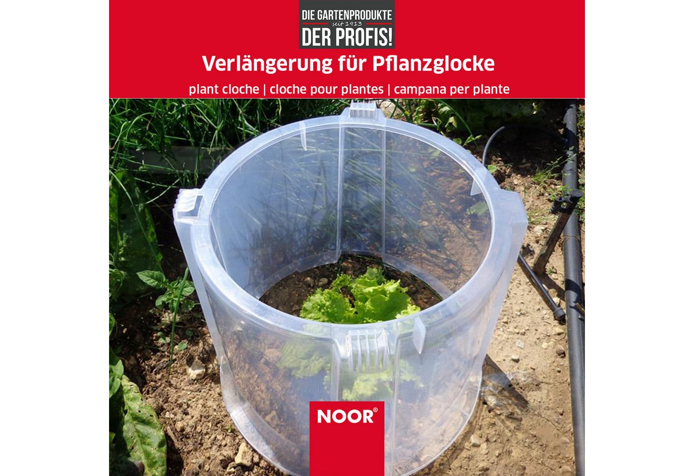 NOOR Frühbeet Pflanzglocke MODUL´O - verlängerbar, mit Lüftungsgitter für ideales Mikroklima für Ihre Pflanzen Bild 2