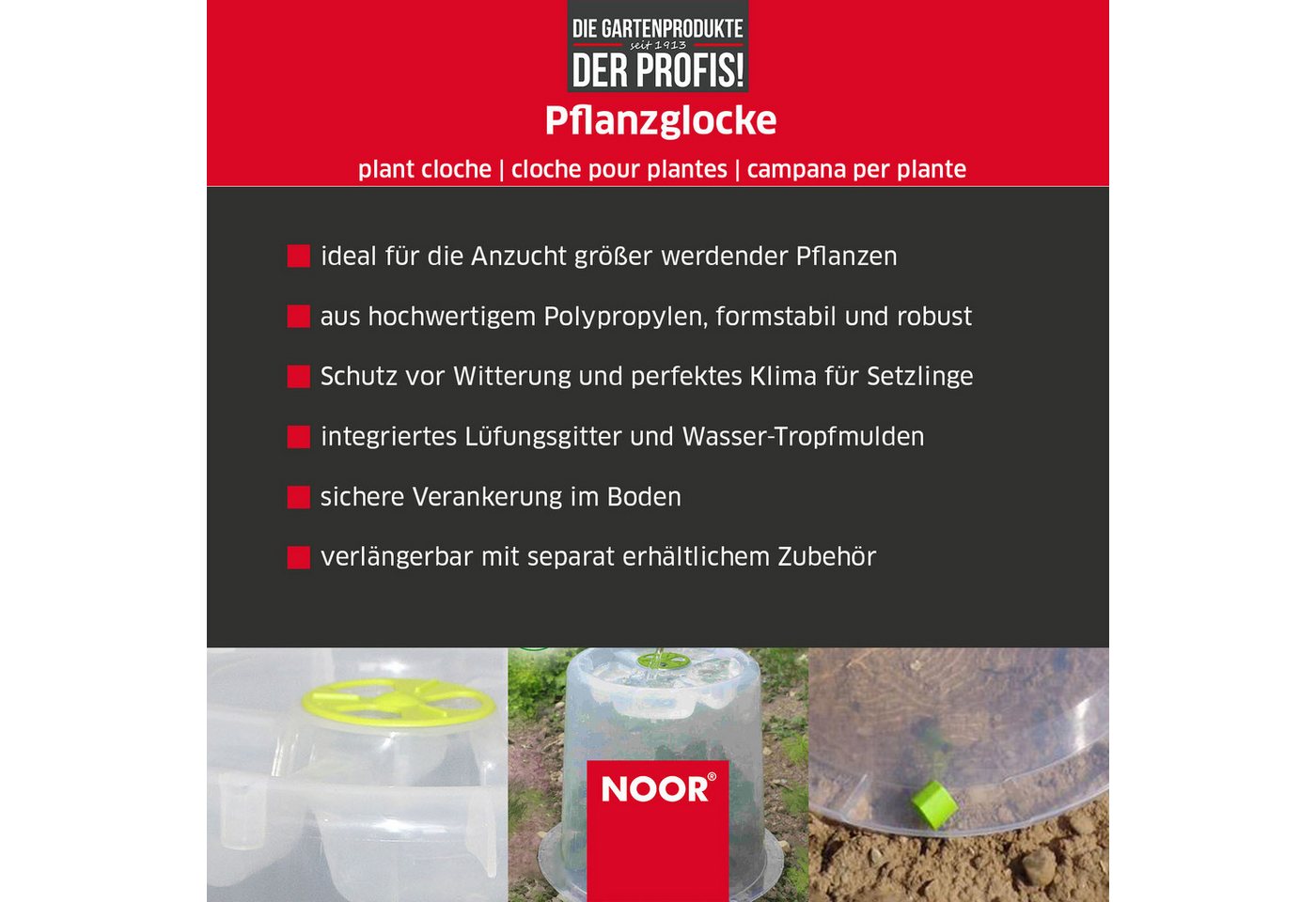 NOOR Frühbeet Pflanzglocke MODUL´O - verlängerbar, mit Lüftungsgitter für ideales Mikroklima für Ihre Pflanzen Bild 4