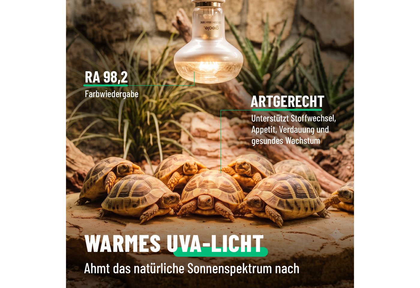 greate. Terrarienleuchte UVA Terrarium Lampe E27 50W - 4er Pack Reptilien Wärmelampe, warmweiß Bild 2